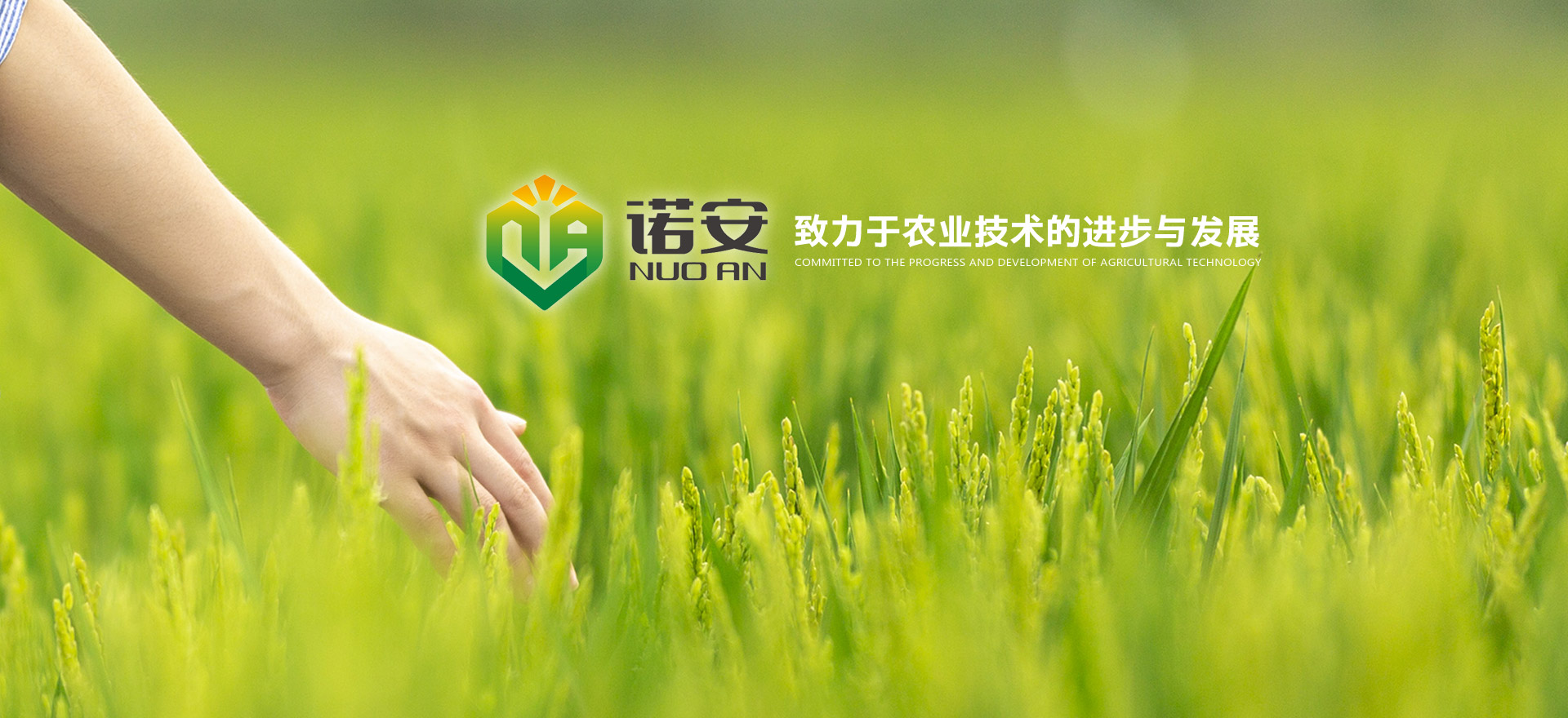 諾安生態(tài)肥業(yè) 諾安生態(tài)肥業(yè)